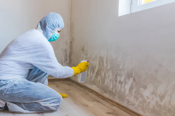 Licensed Mold Testing service in Haddon Heights, NJ - WQB Mold Removal