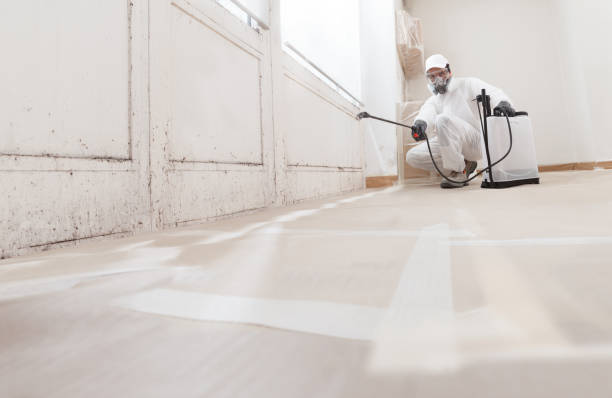 24/7 Emergency Mold Testing experts in Haddon Heights, NJ