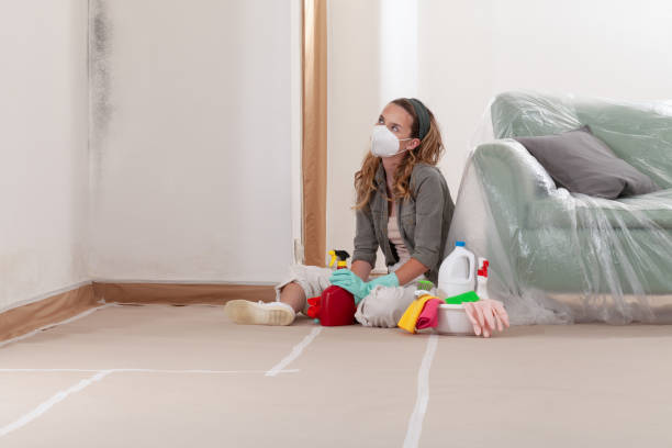 Reliable Mold Testing contractor in Haddon Heights, NJ by WQB Mold Removal