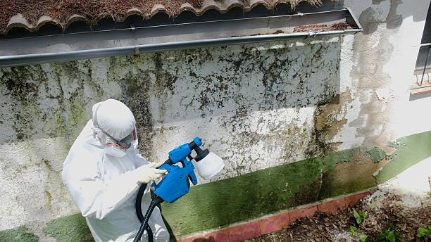 Top rated local Mold Testing specialists in Haddon Heights, NJ
